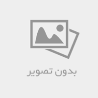 تجربه گر